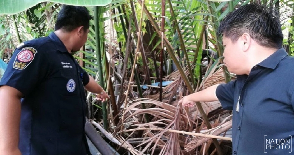 ผงะ !! พบศพถูกฆ่าหมกป่าจาก ซ.สุขสวัสดิ์53 ผงะ !! พบศพถูกฆ่าหมกป่าจาก ซ.สุขสวัสดิ์53