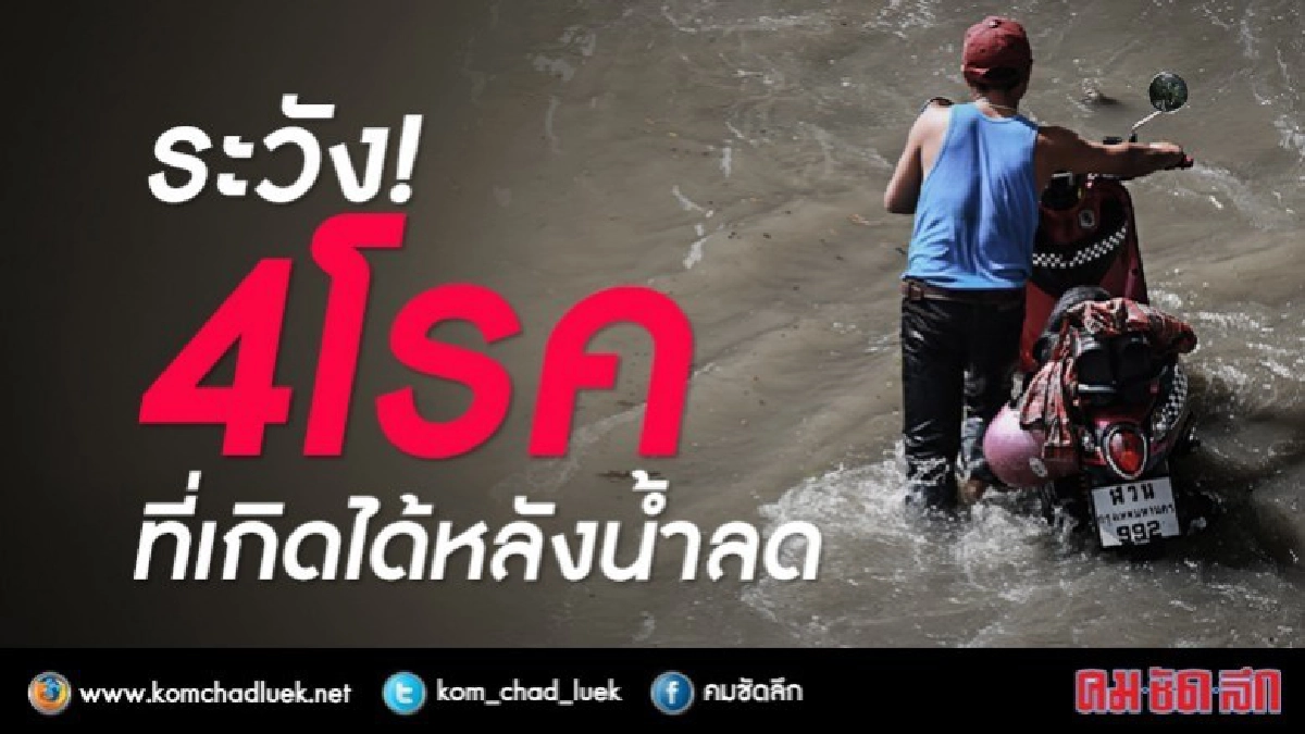 "โรคฉี่หนู"พบบ่อยในพื้นที่หลังน้ำลดอันตรายถึงชีวิต!!
