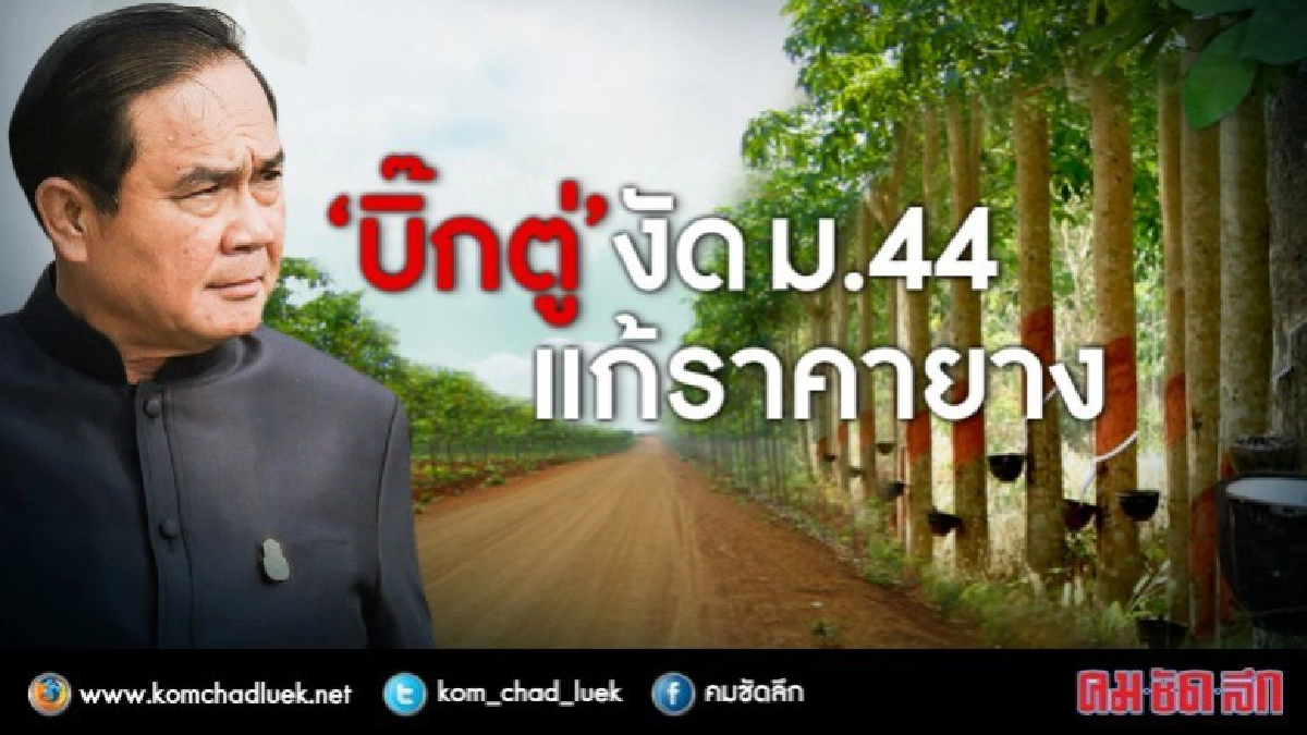 "บิ๊กตู่" งัด มาตรา 44 แก้ปัญหาราคายางตกต่ำ