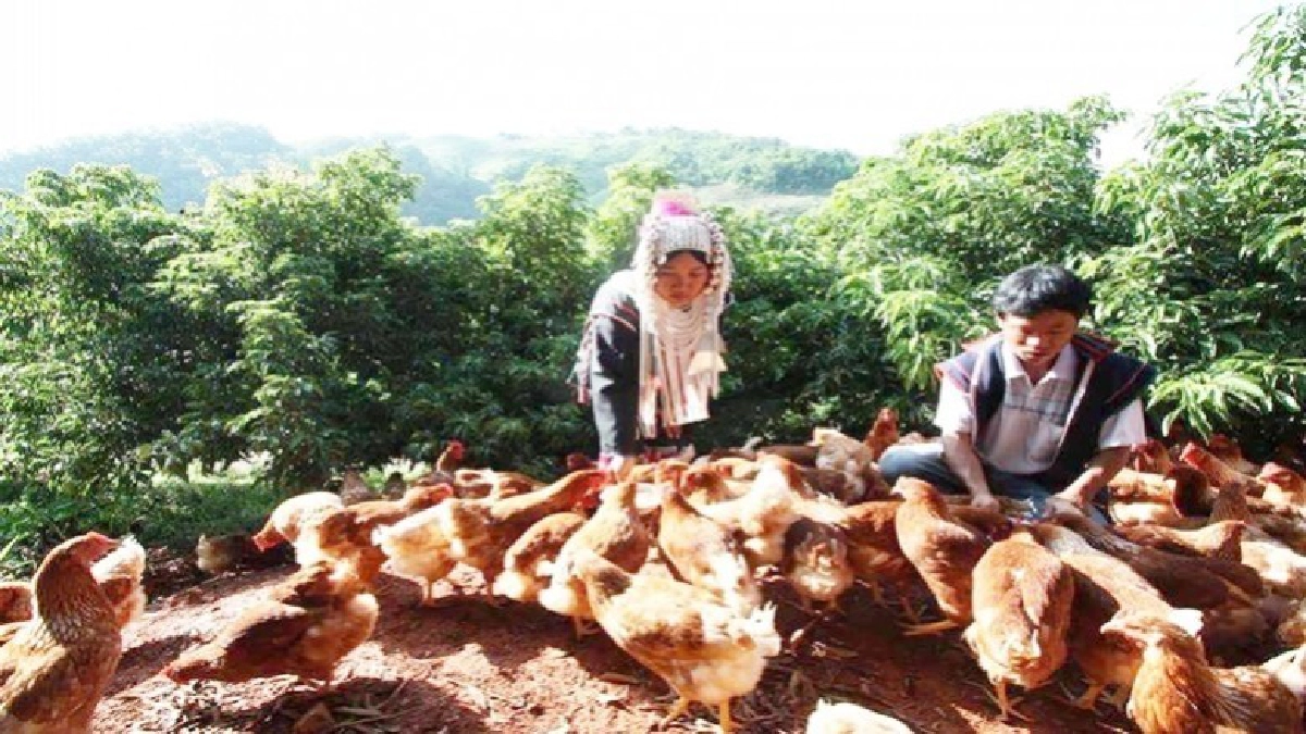 เชิญผู้ประกอบการขึ้นทะเบียนรับเกษตรพันธสัญญา