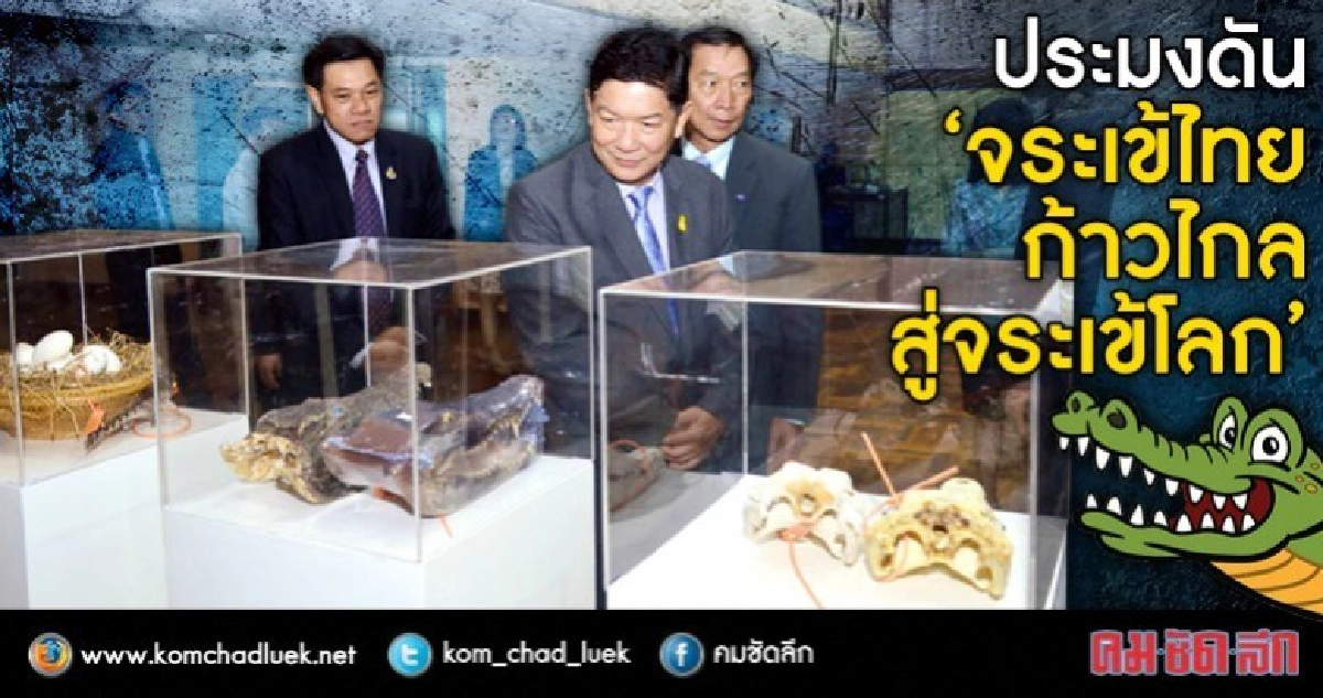 กรมประมงดัน"จระเข้ไทยก้าวไกลสู่จระเข้โลก"