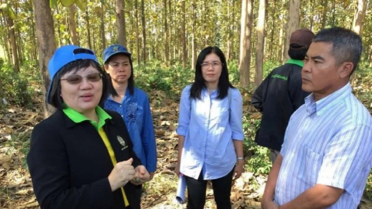 "อำนวยพร"นำทีมตรวจแปลงสักทองเกษตรกรดีเด่นภาคเหนือ