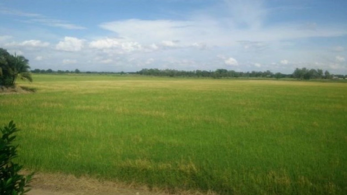 กรมชลฯวางแผนขยายผลโครงการบางระกำโมเดล 60