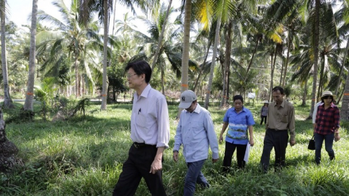 เกษตรฯเผยป้องกันกำจัดหนอนหัวดำแล้วร้อยละ 95