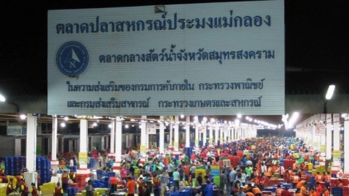 สหกรณ์ประมงแม่กลอง  คุมเข้ม IUU มุ่งสร้างสินค้าดีถูกหลักสากล