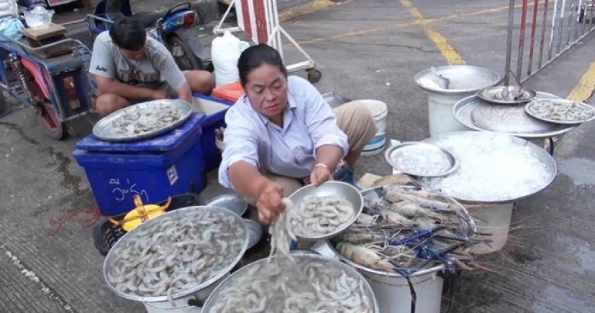 เรือประมงหยุดปีใหม่-คลื่นลมแรงทำอาหารทะเลสงขลาขาดตลาด เรือประมงหยุดปีใหม่-คลื่นลมแรงทำอาหารทะเลสงขลาขาดตลาด