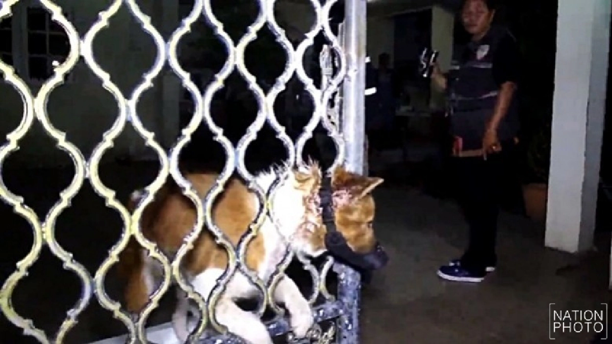 นาทีชีวิต !! ช่วยตูบหัวติดรั้ว นาทีชีวิต !! ช่วยตูบหัวติดรั้ว