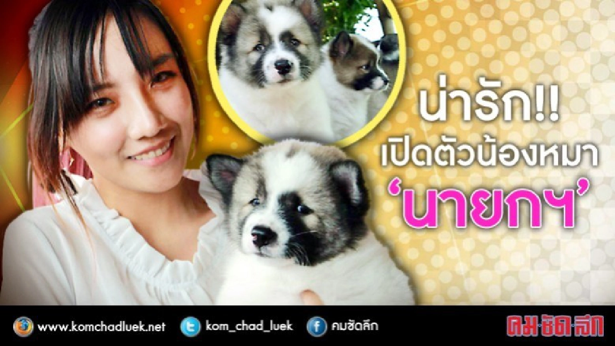 น่ารัก!! เปิดตัวน้องหมา“นายกฯ”