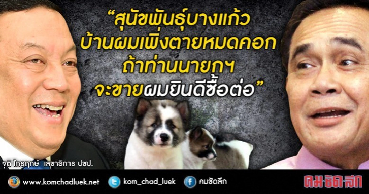 “จุติ”ขอรับซื้อลูกหมาบางแก้วต่อ“บิ๊กตู่”