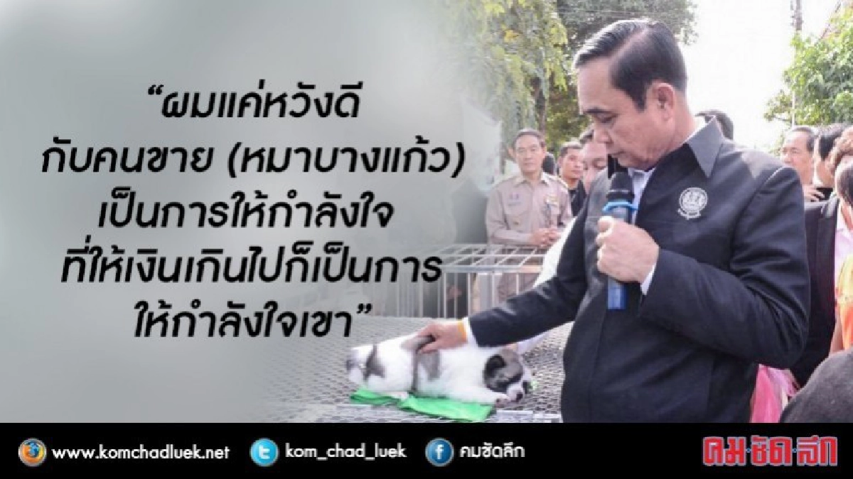 "เสือ-ไทเกอร์-ไข่ตุ๋น"หมา3ตัวบ้าน"บิ๊กตู่" 