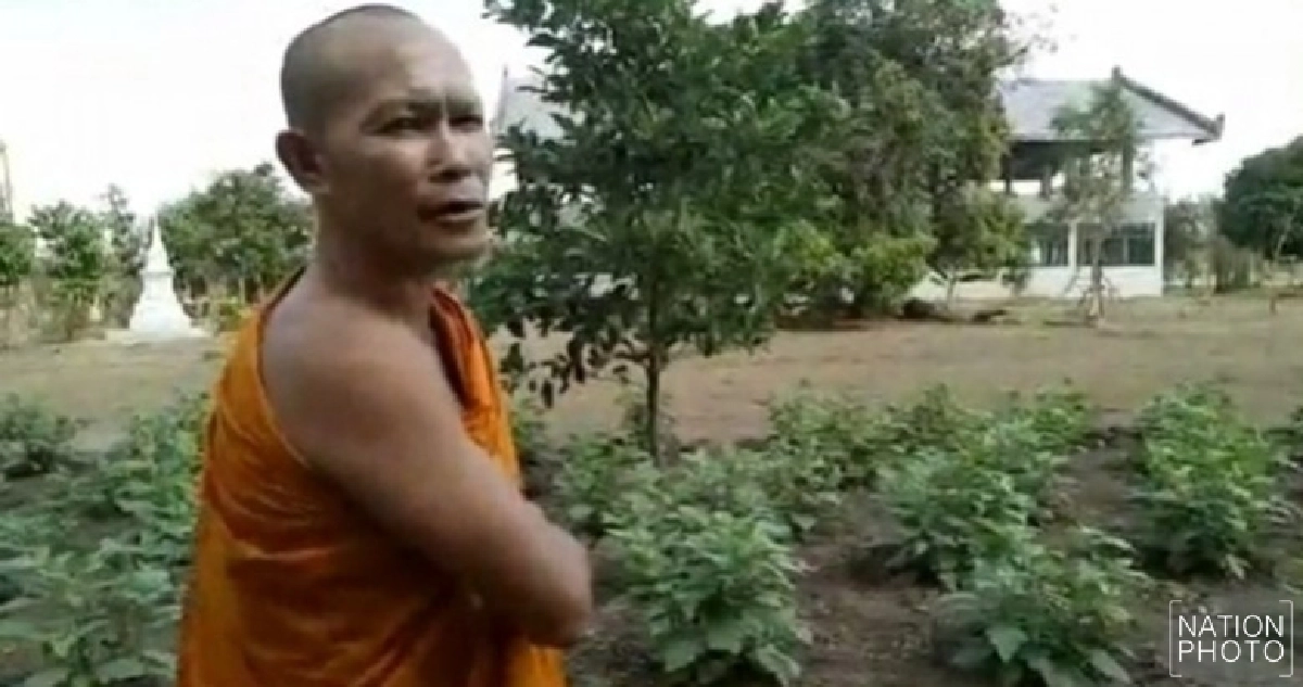 พอเพียง !! ‘หลวงพี่’ ปลูกพืชผักสวนครัวแจกญาติโยม พอเพียง !! ‘หลวงพี่’ ปลูกพืชผักสวนครัวแจกญาติโยม