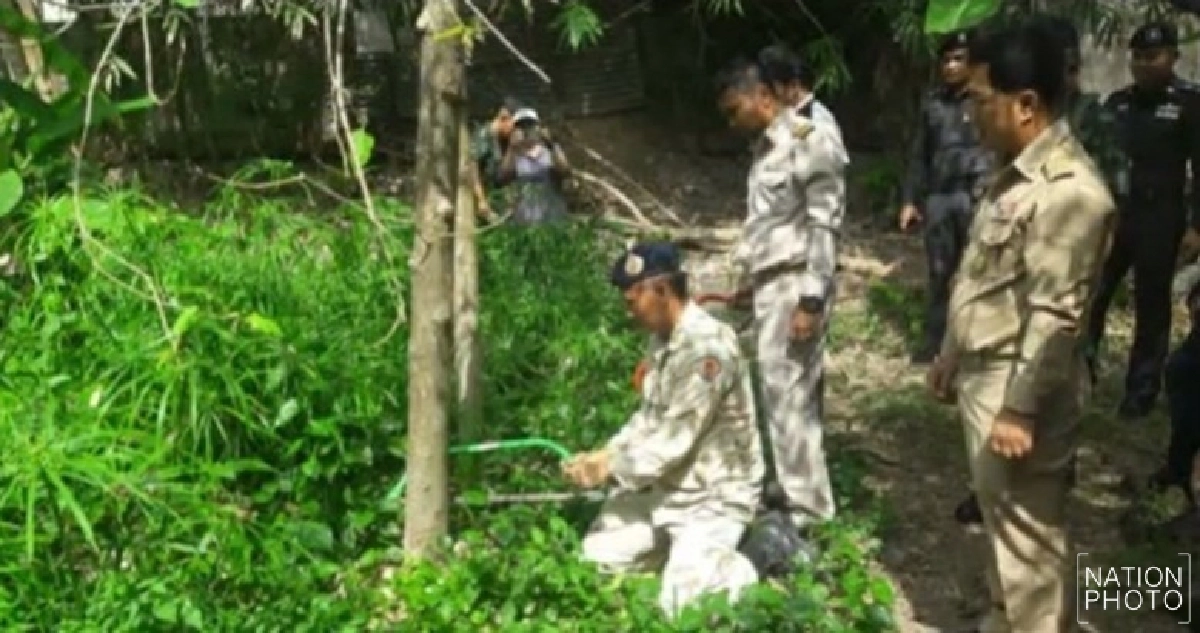โค่นเผาต้นกระท่อมหลังเยาวชนเก็บใบไปเสพ