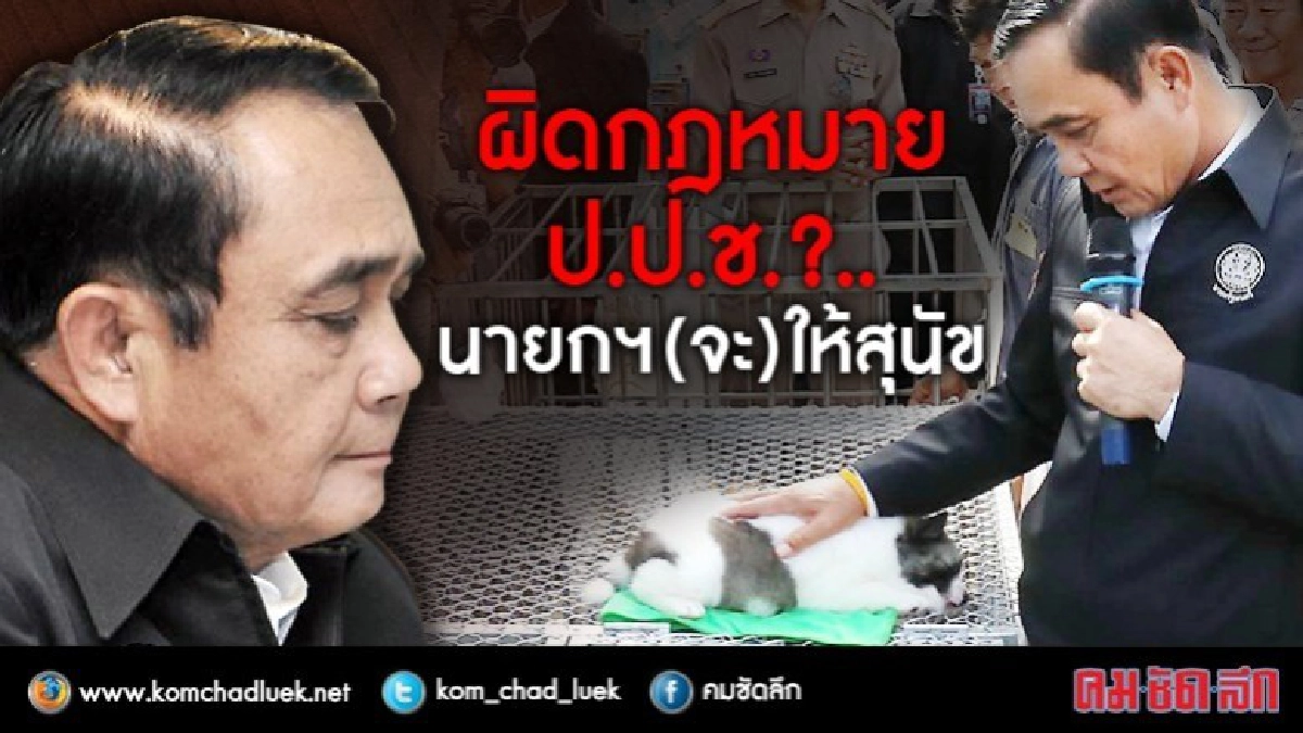 ผิดกฎหมาย ป.ป.ช. ?..นายกฯ(จะ)ให้ลูกสุนัข ผิดกฎหมาย ป.ป.ช. ?..นายกฯ(จะ)ให้ลูกสุนัข