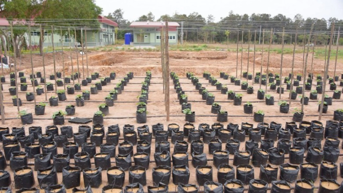 มมส เตรียมจัดงาน “เทคโนฟาร์มแฟร์"