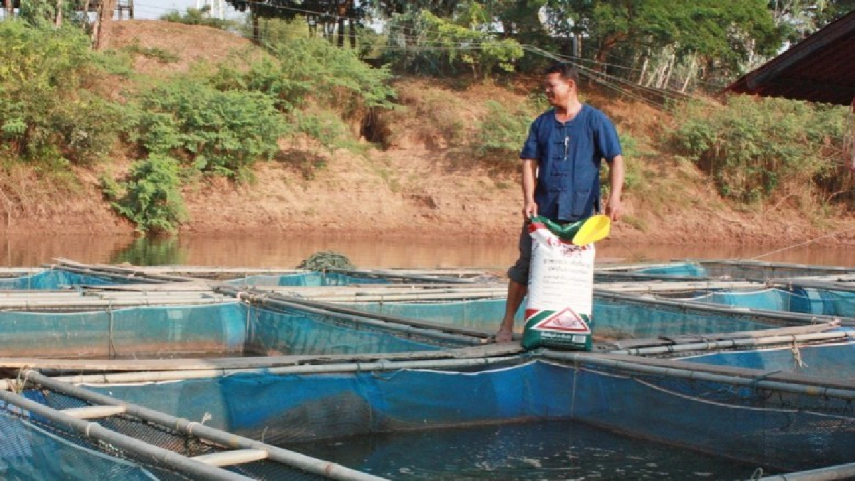 ซีพีเอฟ แนะเกษตรกรเลี้ยงสัตว์ช่วงหนาว-อากาศแปรปรวน