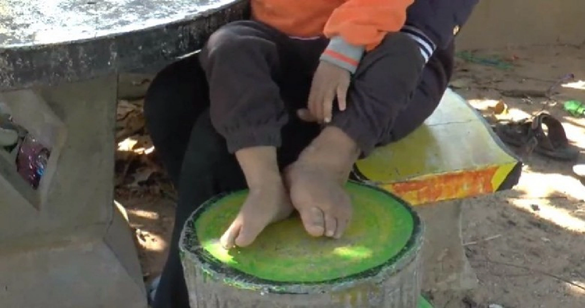 อดีตภรรยานักร้องดาวรุ่งอัดยับรับเลี้ยงหมาเมินลูก อดีตภรรยานักร้องดาวรุ่งอัดยับรับเลี้ยงหมาเมินลูก