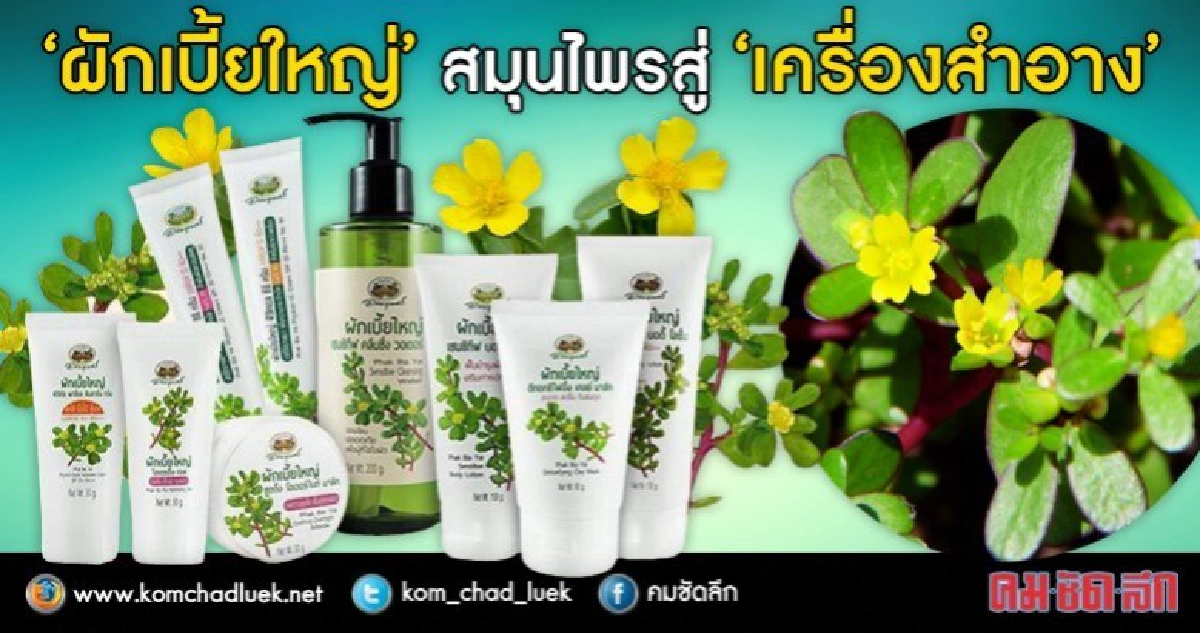 เครื่องสำอางสมุนไพร "ผักเบี้ยใหญ่"