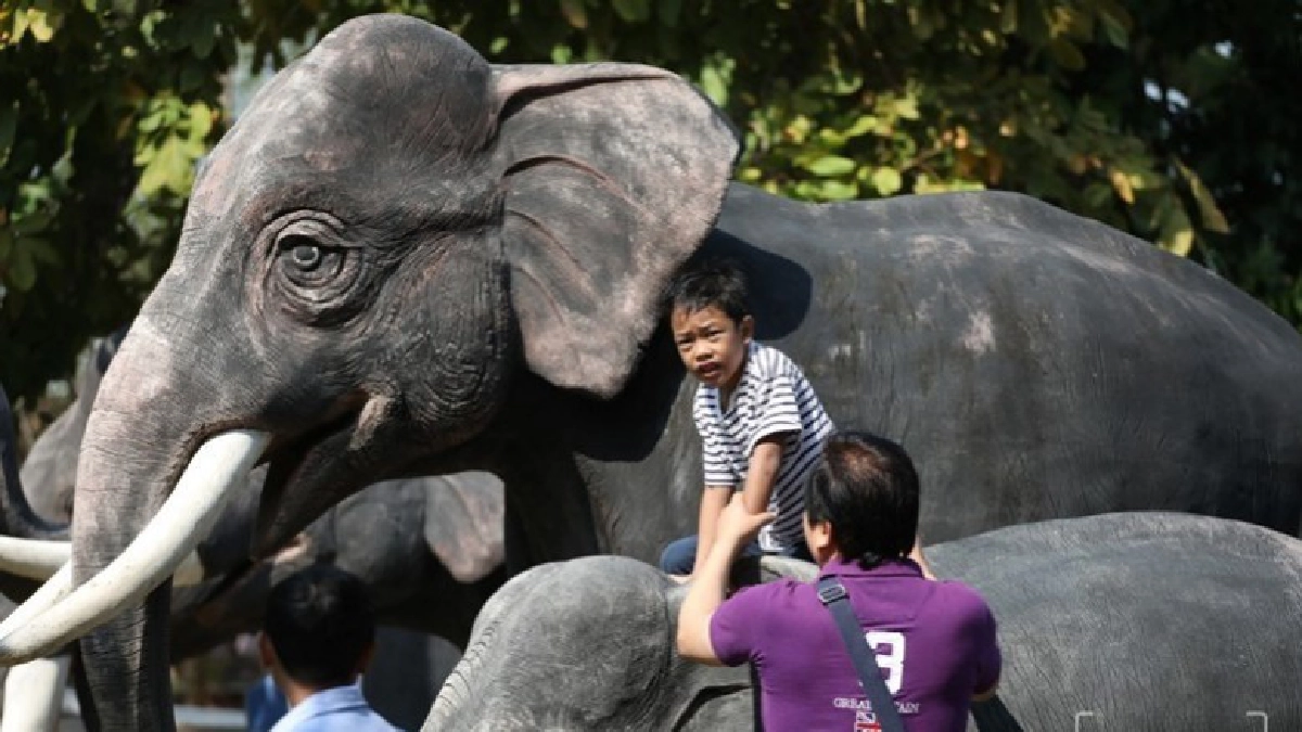 สวนสัตว์ดุสิต เปิดให้เด็กเข้าชมฟรี (ภาพชุด) สวนสัตว์ดุสิต เปิดให้เด็กเข้าชมฟรี (ภาพชุด)