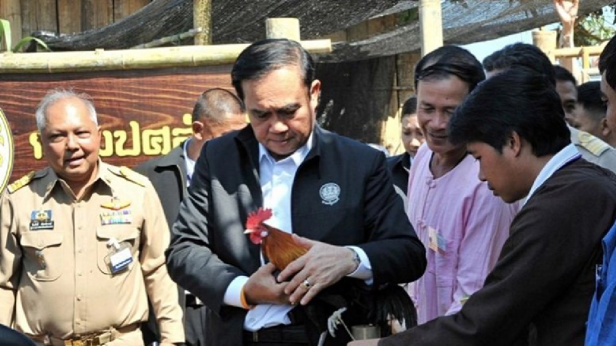 "บิ๊กตู่" คุย "ไก่แจ้" บอกหน้าจ๋อย กลัวเป็นไก่ย่าง !! "บิ๊กตู่" คุย "ไก่แจ้" บอกหน้าจ๋อย กลัวเป็นไก่ย่าง !!