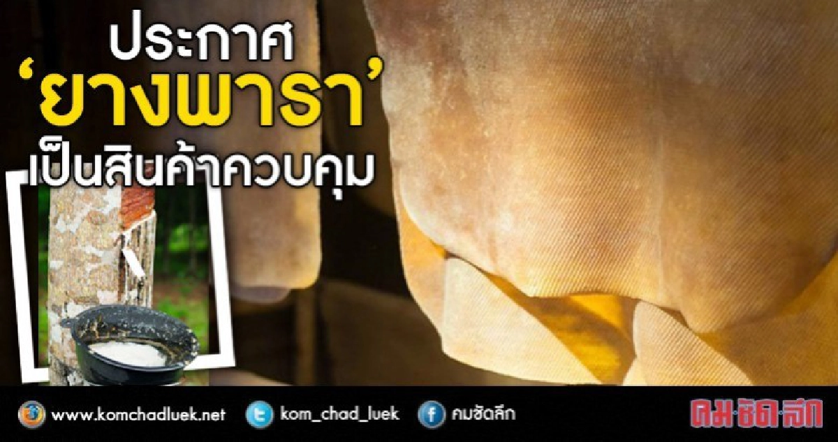 รัฐบาลแจงเหตุผลกำหนดให้ยางพาราเป็นสินค้าควบคุม