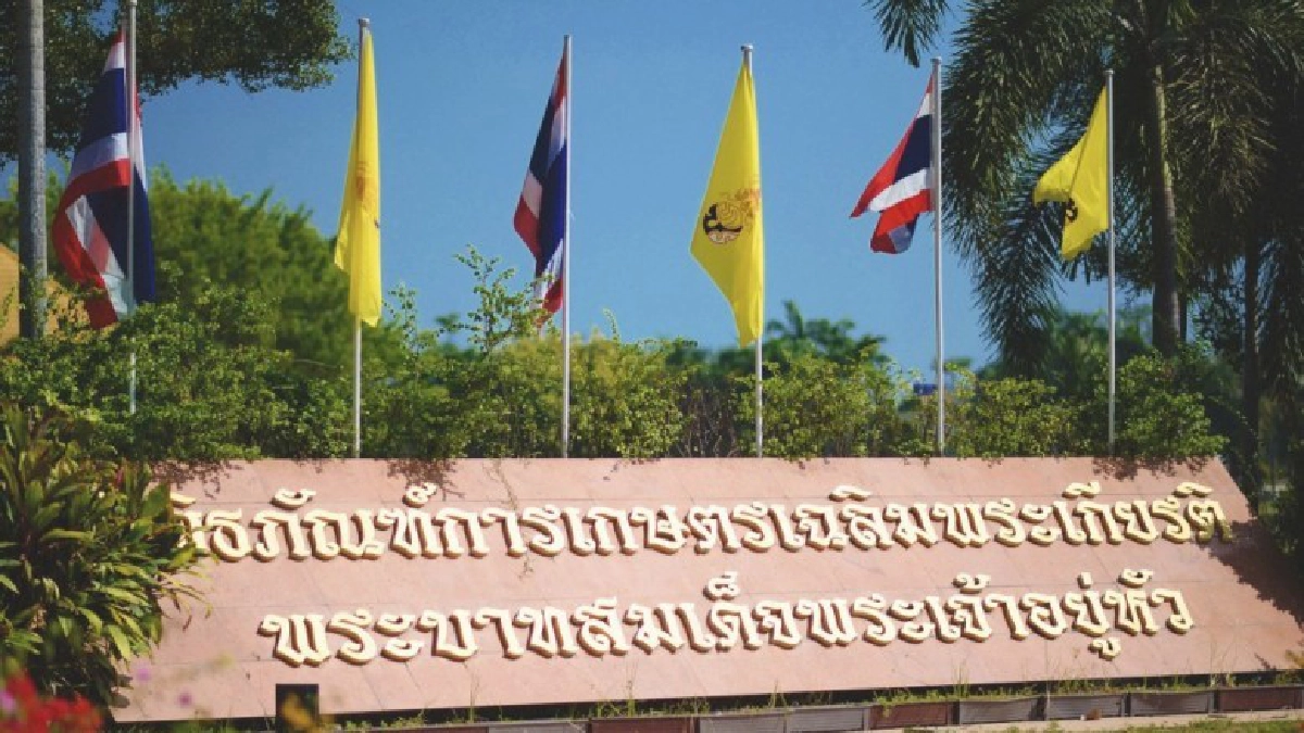 เปิดรับสมัครผู้อำนวยการสำนักงานพิพิธภัณฑ์เกษตรฯ