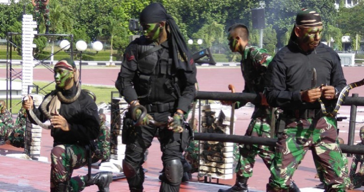 ทหารอินโดนีเซียโชว์ "แมททิส" ฆ่า-กินเลือดงู