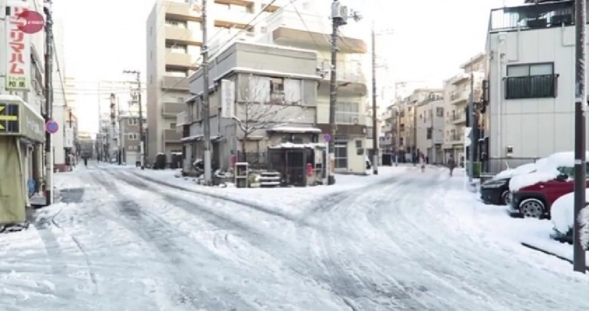 โตเกียวอากาศแปรปรวนหนาวสุดในรอบ 48 ปี ต่ำกว่าจุดเยือกแข็ง