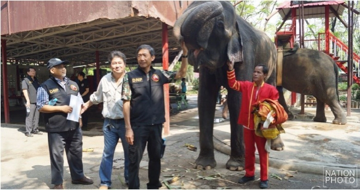 เจ้าของยันโพสต์'ฟาร์มจระเข้สมุทรปราการ'เป็นภาพเก่า