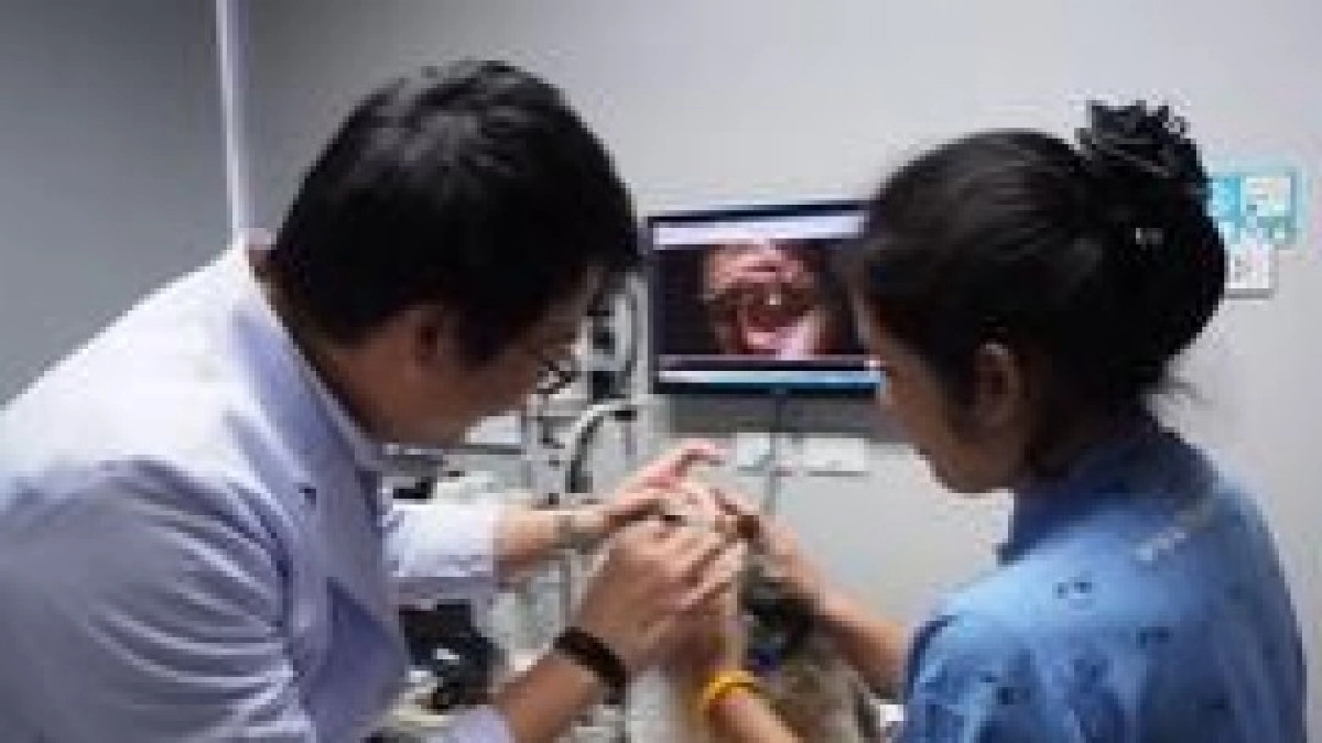   เปิดอาณาจักรคนรักสัตว์เลี้ยง    มิติใหม่ "รพ.สัตว์ทองหล่อ”