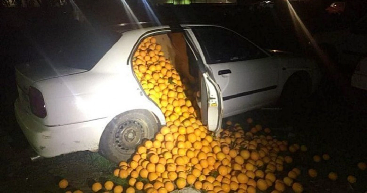 จับผู้ต้องสงสัยโจรกรรมส้ม 4 พันกิโล