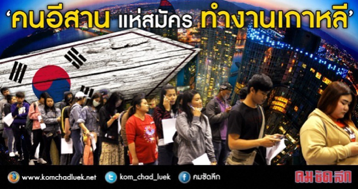 จัดหางานโคราช คาดตัวเลขกว่า 1,500 คน สมัครแรงงานเกาหลีใต้ จัดหางานโคราช คาดตัวเลขกว่า 1,500 คน สมัครแรงงานเกาหลีใต้