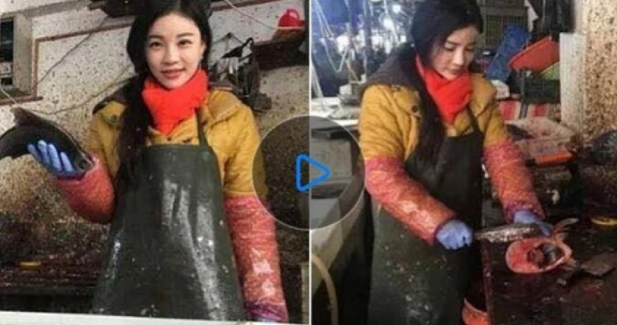 ‘ไซซีกลางตลาดสด’ สวยและขยันมาก ‘ไซซีกลางตลาดสด’ สวยและขยันมาก