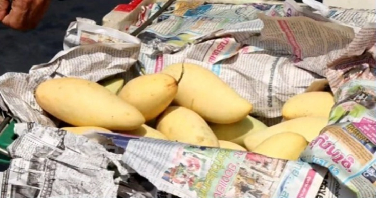 แจ้งจับพ่อค้าเบี้ยวค่ามะม่วงครึ่งล้าน 3 เดือนคดีไม่คืบ