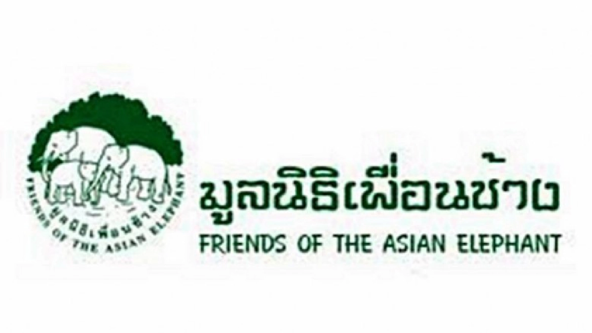 มูลนิธิเพื่อนช้าง ประณามล่าสัตว์ป่าอุกอาจเย้ยกฎหมาย