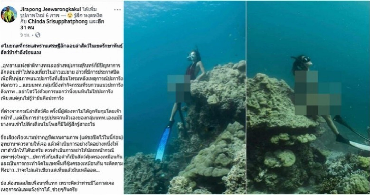 ปรับ 3 นทท.เหยียบ'ปะการัง'ถ่ายภาพใต้น้ำ ปรับ 3 นทท.เหยียบ'ปะการัง'ถ่ายภาพใต้น้ำ