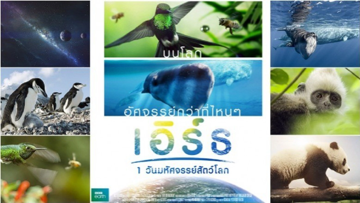 คนรักสัตว์ ห้ามพลาด!!!