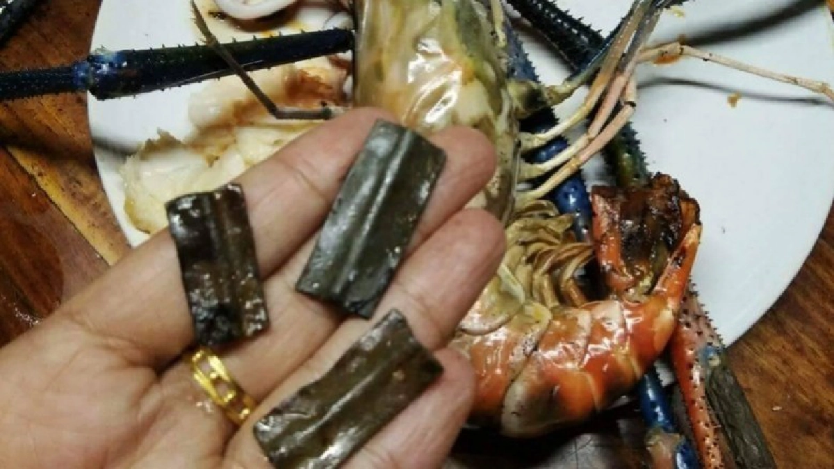 เจอจังๆ "กุ้งสด" ยัดหัวตะกั่วตลาดริมเมย !! เจอจังๆ "กุ้งสด" ยัดหัวตะกั่วตลาดริมเมย !!