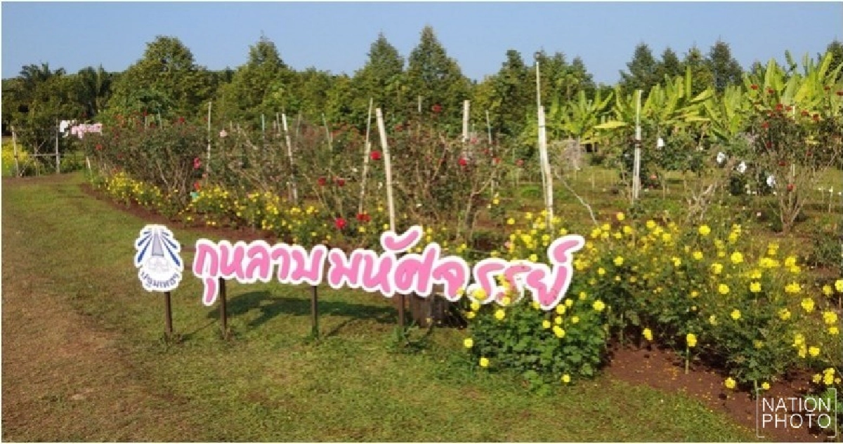 ชวนเที่ยว'พบพระ พบรัก เก็บรักใส่โหล'รับวาเลนไทน์ ชวนเที่ยว'พบพระ พบรัก เก็บรักใส่โหล'รับวาเลนไทน์