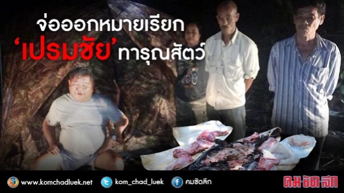 จ่อออกหมายเรียก “เปรมชัย” ทารุณสัตว์