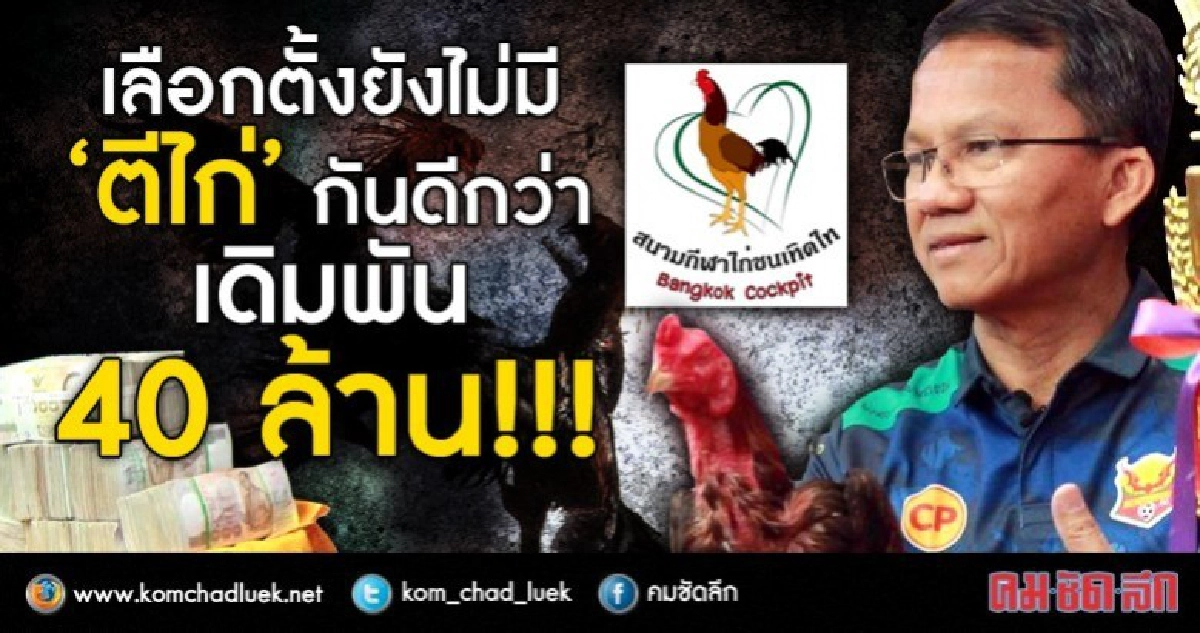 เลือกตั้งยังไม่มี  “ตีไก่” กันดีกว่า  เดิมพัน 40 ล้าน!!!