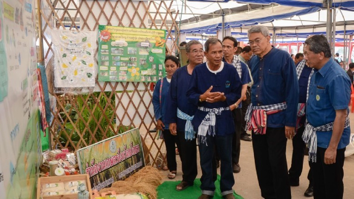 "อ.ยักษ์" ชูยโสธร ต้นแบบเกษตรอินทรีย์ของประเทศ