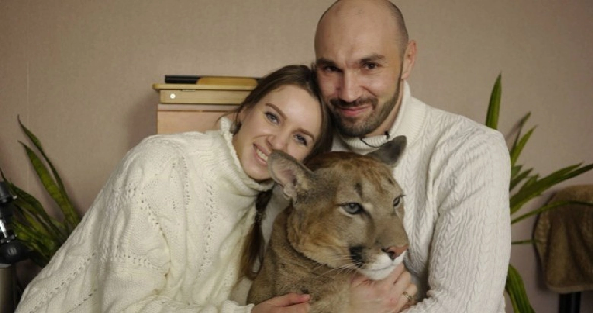 นึกว่าแมว !? สามีภรรยาชาวรัสเซียเลี้ยง ‘เสือพูม่า’ นึกว่าแมว !? สามีภรรยาชาวรัสเซียเลี้ยง ‘เสือพูม่า’