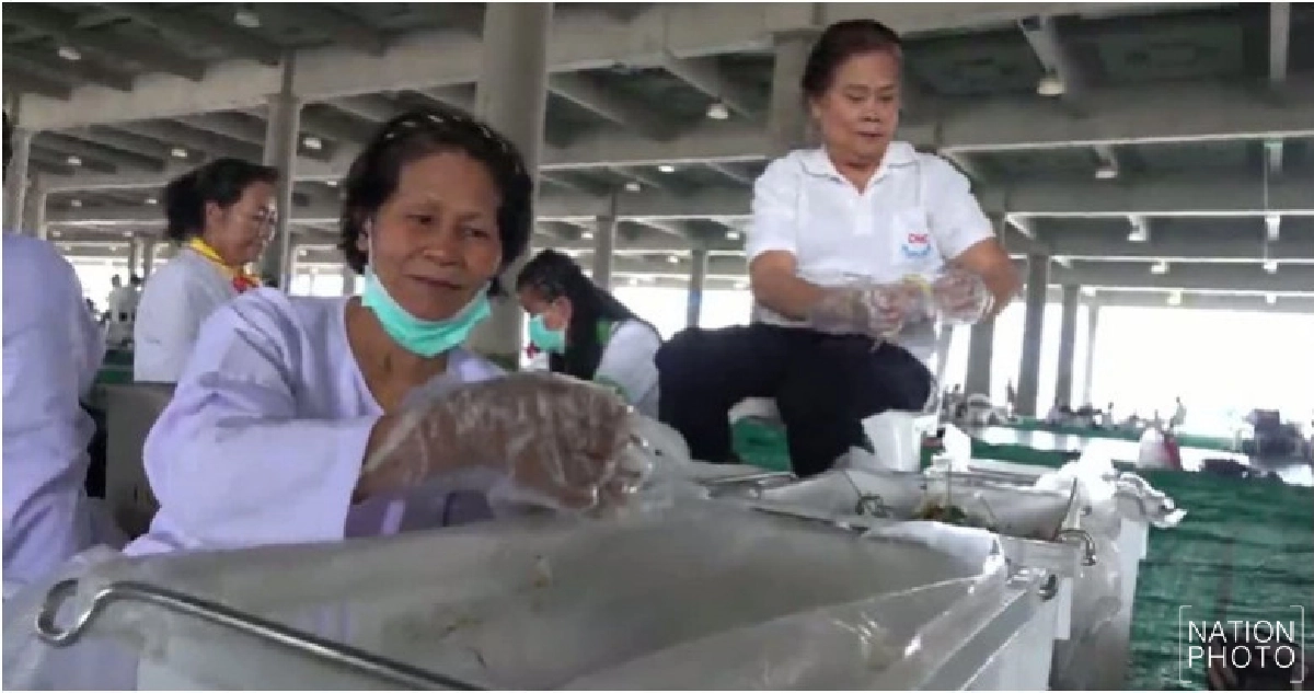ปลิด'ดอกเบญจมาศ'ต้อนรับ'ธรรมยาตรา' ปีที่ 6 ปลิด'ดอกเบญจมาศ'ต้อนรับ'ธรรมยาตรา' ปีที่ 6
