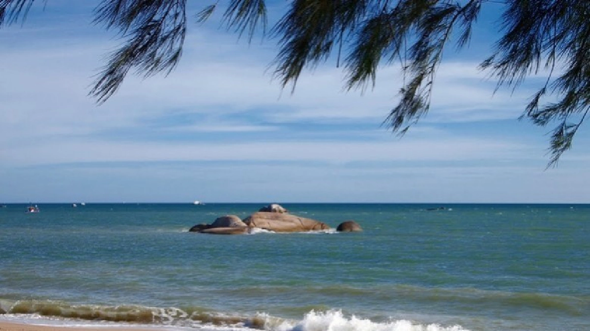 สานพลังชุมชนรักหาด คืนธรรมชาติสู่ท้องทะเล