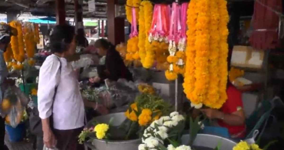 บัวบูชาขาดตลาด บัวบูชาขาดตลาด