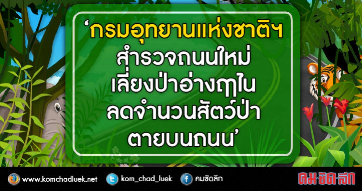 อุทยานแห่งชาติฯ รอรับถนนใหม่ 66 กม.ปีนี้ หลัง ครม.อนุมัติงบ อุทยานแห่งชาติฯ รอรับถนนใหม่ 66 กม.ปีนี้ หลัง ครม.อนุมัติงบ