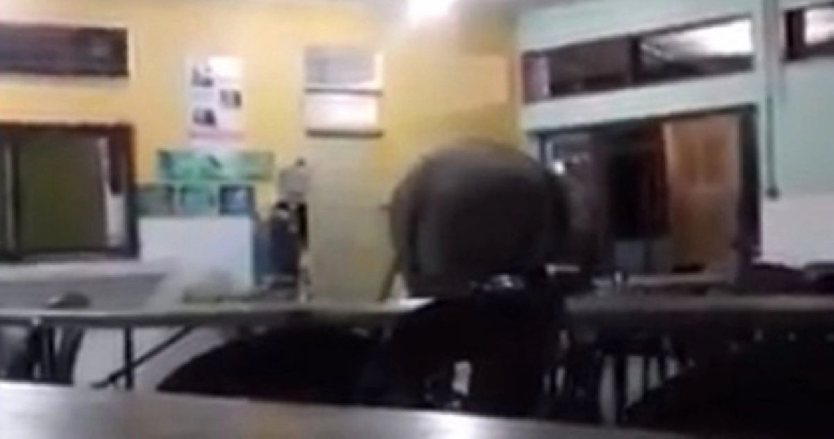 ครู-นักเรียนช็อกช้างบุกโรงอาหาร