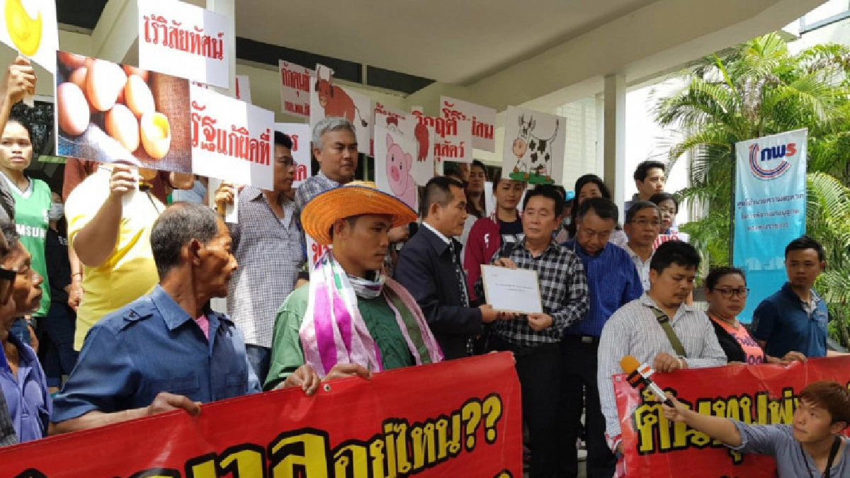 เกษตรกรปศุสัตว์วอนยกเลิกมาตรการมัดตราสังข์ คนเลี้ยงสัตว์