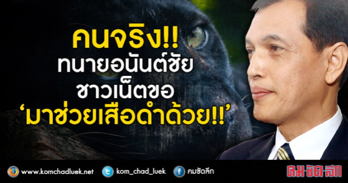 คนจริง ทนายอนันต์ชัย ชาวเน็ตขอ  ช่วยเสือดำด้วย!!