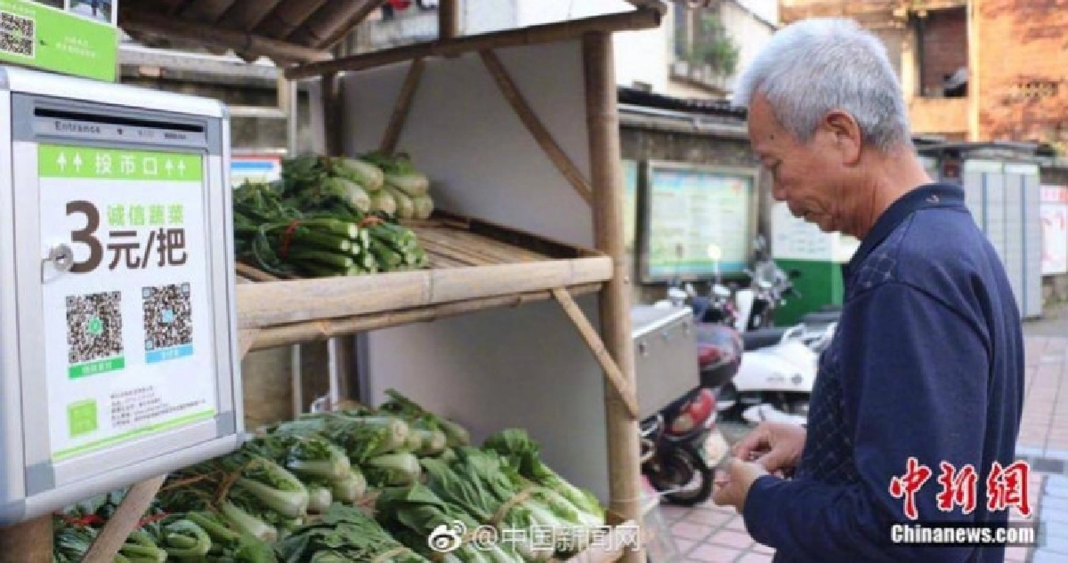 ‘ร้านผักไร้คนขาย’ ไม่เคยมีเงิน-ผักหาย ‘ร้านผักไร้คนขาย’ ไม่เคยมีเงิน-ผักหาย
